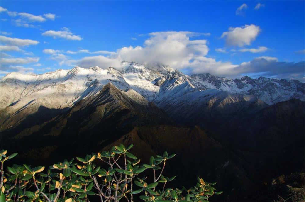 3 Days Chengdu Side Trip to Mt.Emei Leshan & Xiling Snow Mountain