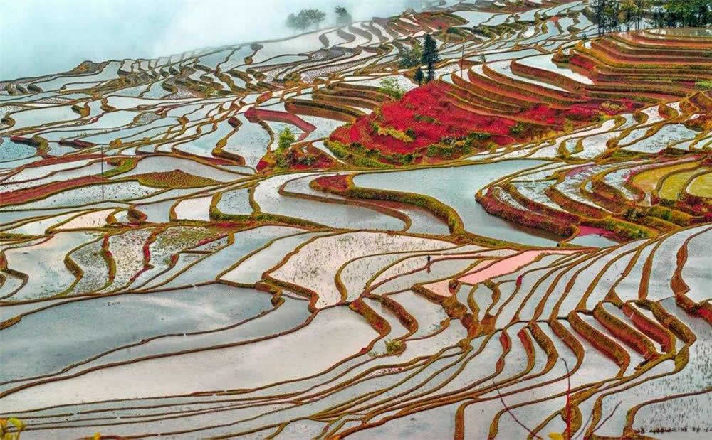 15 Days Sightseeing Tour of Scenic China & Rice Terraces