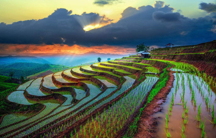 9 Days Southwest China Experience Tour with Rice Terraces from Shanghai