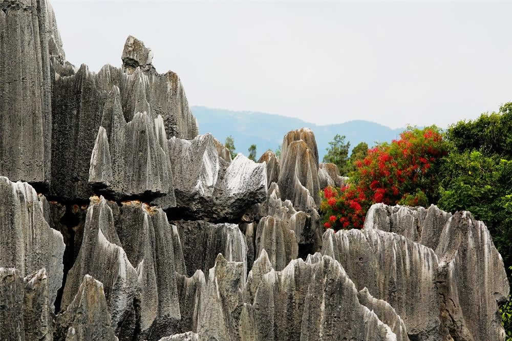 Private Full Day Stone Forest & Jiuxiang Scenic Resort Tour from Kunming