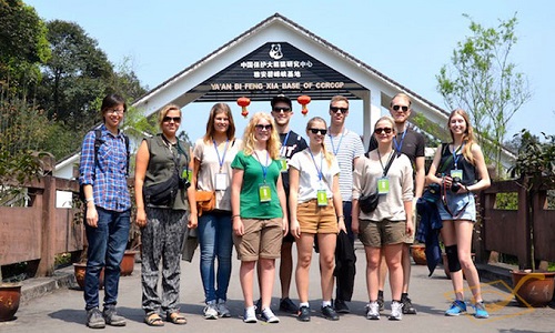 1 Day Panda Volunteer Tour at Bifengxia Base