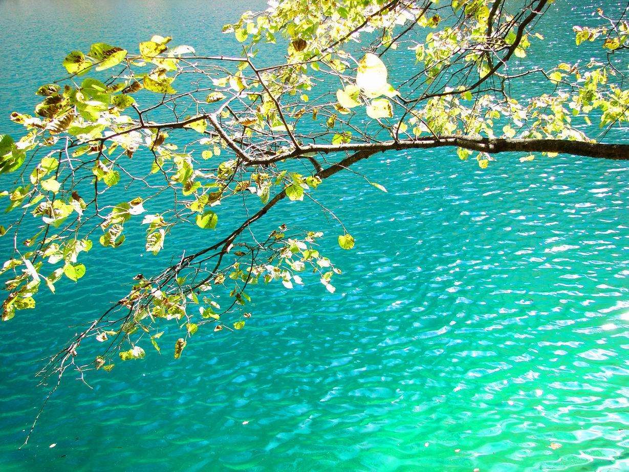 Jiuzhaigou_8.jpg