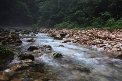 Zhangjiajie National Forest Park_03.jpg
