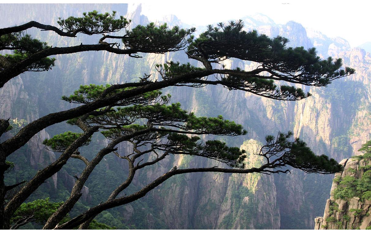 3-Day_Beijing_Huangshan_Sightseeing_Tour_with_Round-trip_High-speed_Train_4.jpg