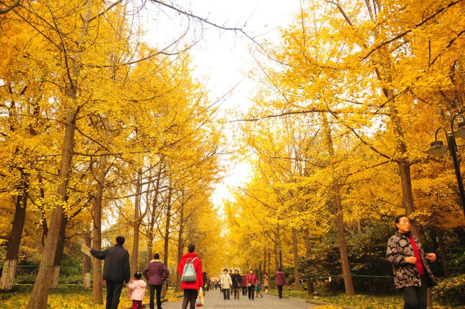 Renmin-Park-Chengdu