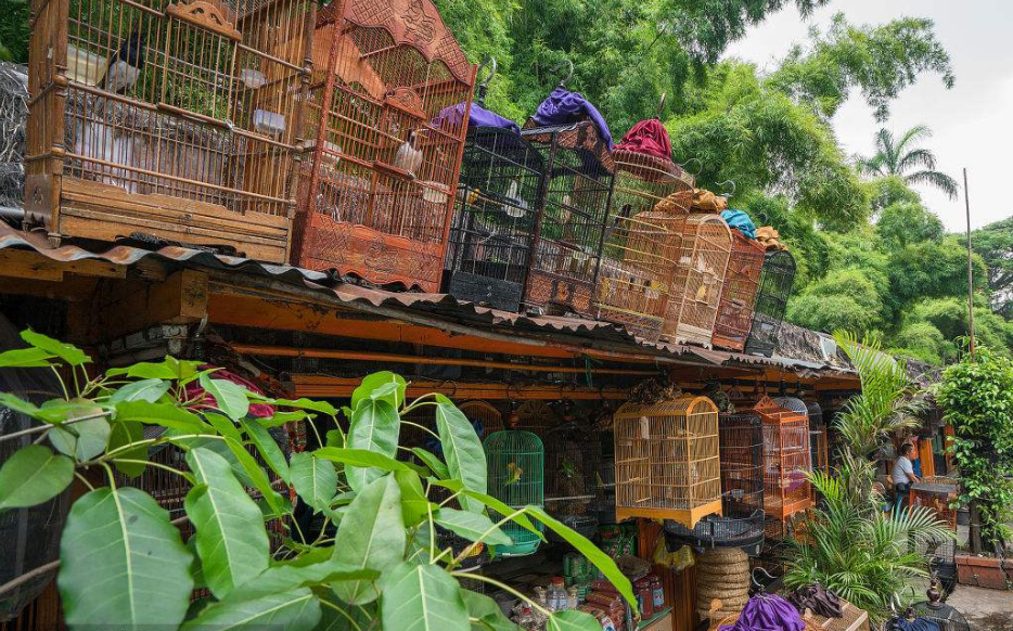 Flower&Birds_Market_1.jpg