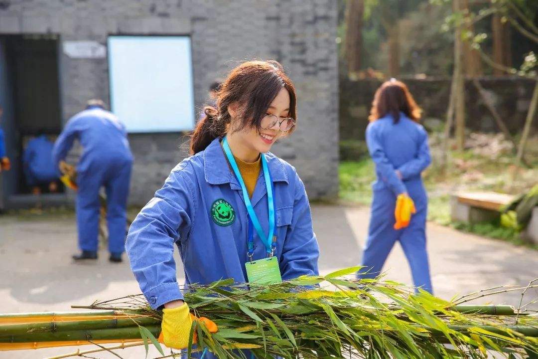 Panda Volunteer