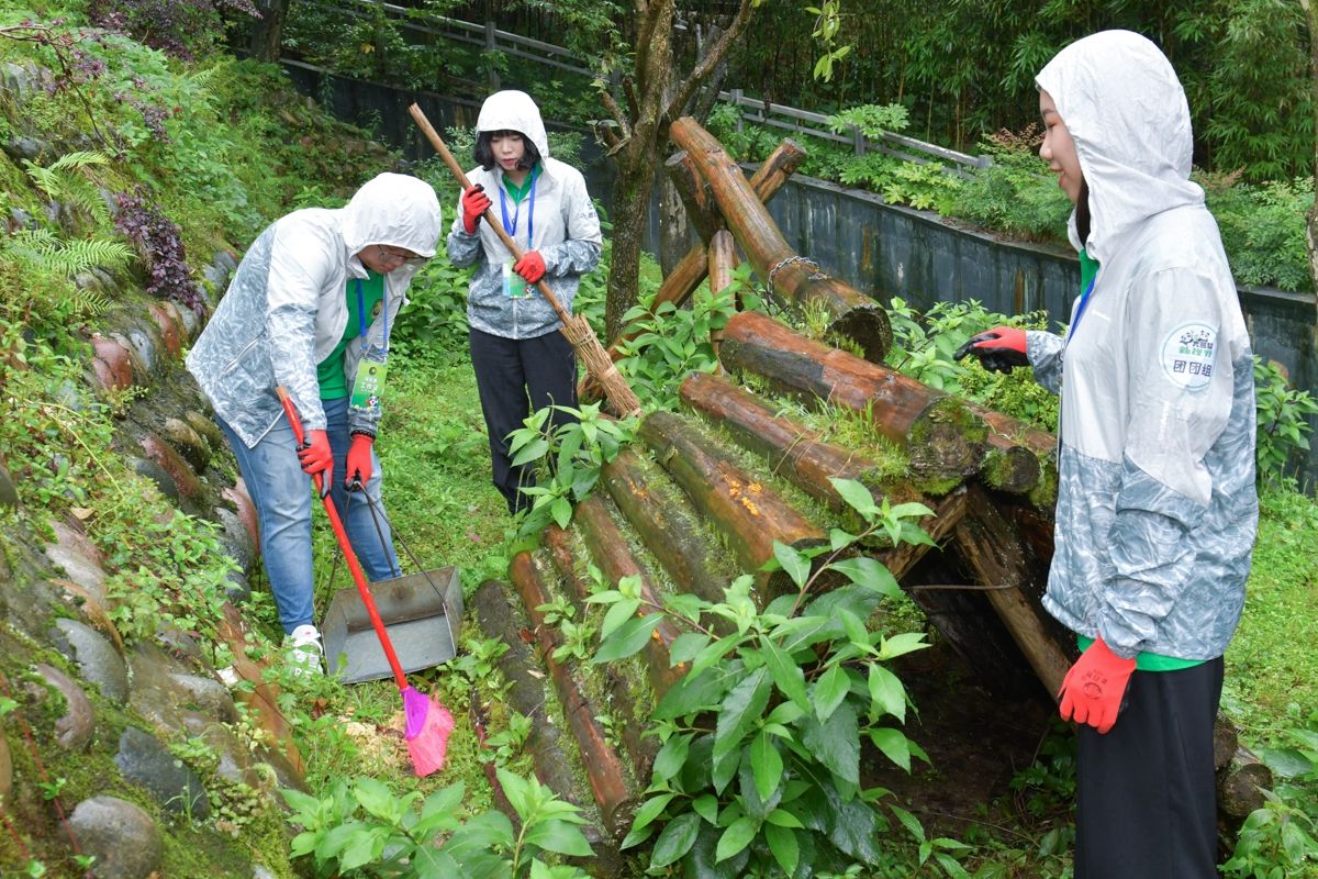 Panda-Volunteer