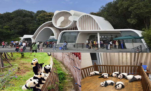 Chengdu-Research-Base-Of-Giant-Panda-Breeding