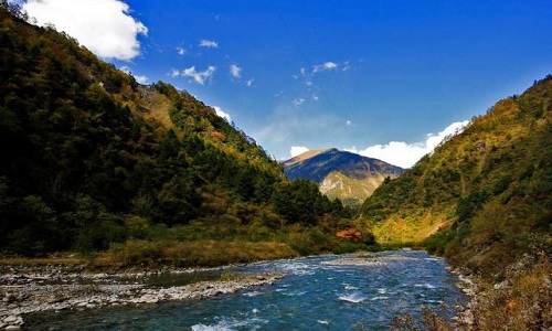 Wolong-Nature-Reserve-Viewing