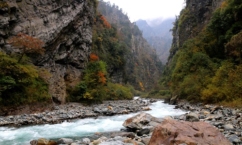 Wolong-Nature-Reserve