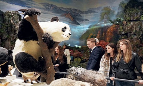 Wolong-Panda-BaseWolong-Panda-Museum-Tour