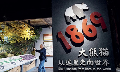 Wolong-Panda-BaseWolong-Panda-Museum