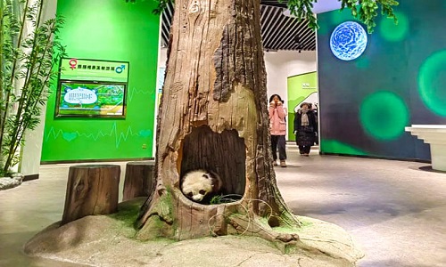 wolong-giant-panda-museum-Tour