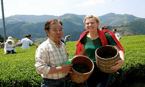 Tea-Plantation-Tour