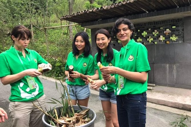 private-dujiangyan-panda-base-panda-rescue-center-volunteer