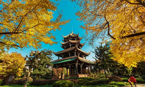 Wangjianglou-Park-Chengdu