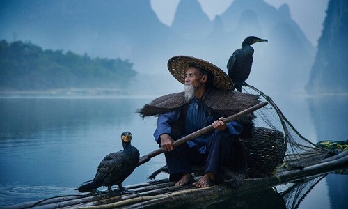 Cormorant-Fisherman-Demonstration-Guilin