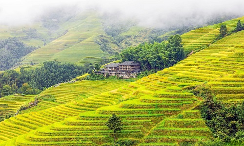 Longji-Rice-Terrace-Scenic-Area-Longsheng