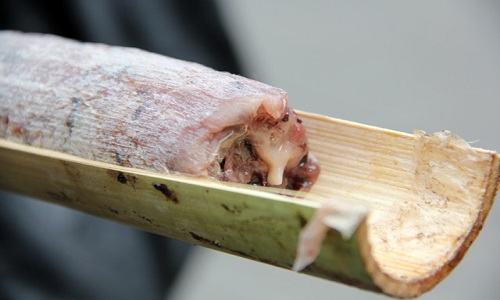 Rice-In-Bamboo-Tubes