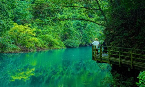 zhangjiajie-grand-canyon zhangjiajie-grand-canyon
