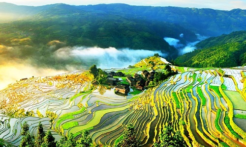 Jiabang-Rice-Terraces Jiabang-Rice-Terraces