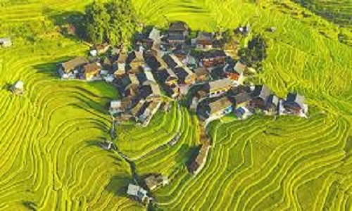 Jiabang-Rice-Terraces-Guizhou Jiabang-Rice-Terraces-Guizhou