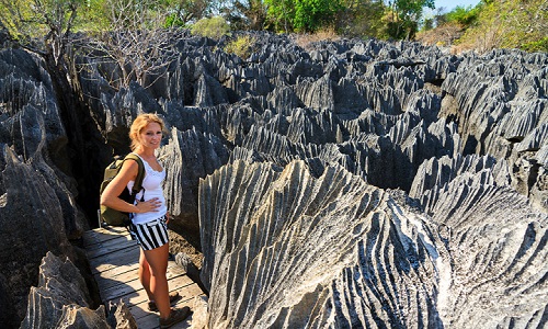 Stone-Forest Stone-Forest