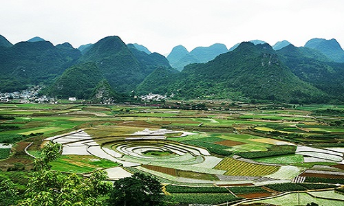 Forest-Of-The-Thunsands-Peaks Forest-Of-The-Thunsands-Peaks