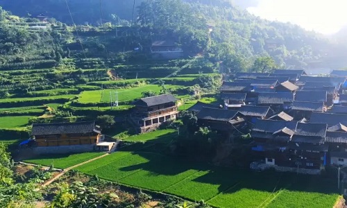 Dustpan-Miao-Village Dustpan-Miao-Village