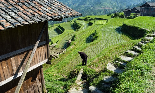 Tang'an-Dong-Village-Guizhou Tang'an-Dong-Village-Guizhou