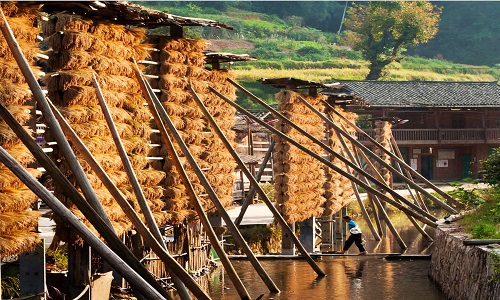 Zhanli-Dong-Village-Zhaoxing Zhanli-Dong-Village-Zhaoxing