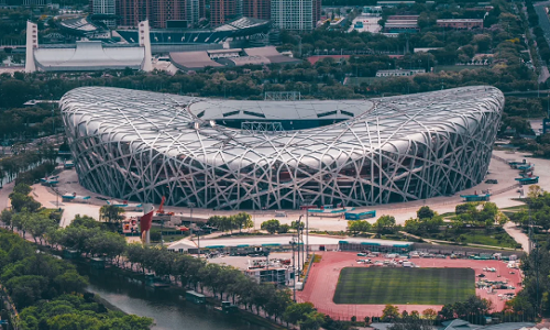 Birds-Nest Birds-Nest