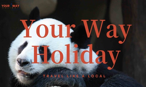 Your-Way-Holiday-in-Chengdu Your-Way-Holiday-in-Chengdu