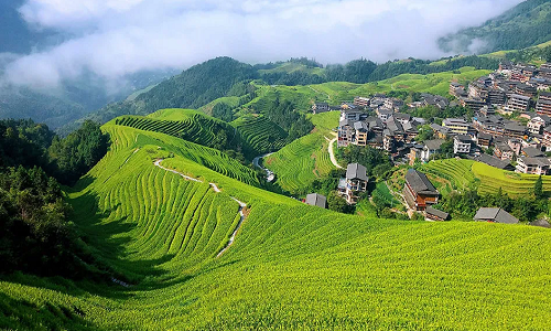 Gaoyao-Rice-Terraces Gaoyao-Rice-Terraces