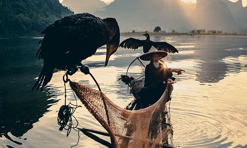 Li-River-Cruise Li-River-Cruise