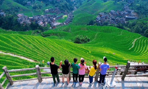 Longji-Rice-Terraces-Guizhou Longji-Rice-Terraces-Guizhou