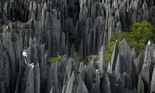 Stone-Forest-Kunming Stone-Forest-Kunming