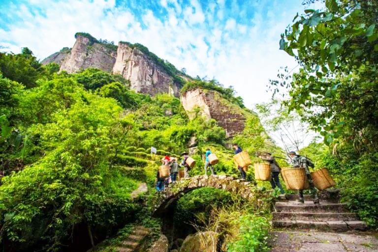 dahongpao-scenic-area dahongpao-scenic-area