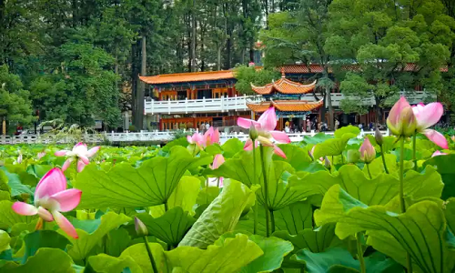 Green-Lake-Park-Kunming Green-Lake-Park-Kunming