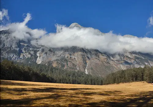 Spruce-Meadow-1 Spruce-Meadow-1
