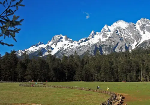 Spruce-Meadow Spruce-Meadow