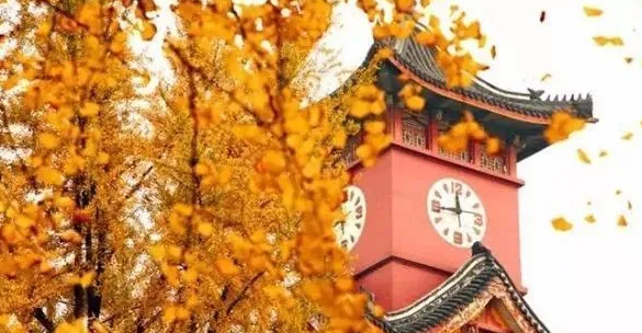 chengdu-autumn-01 chengdu-autumn-01