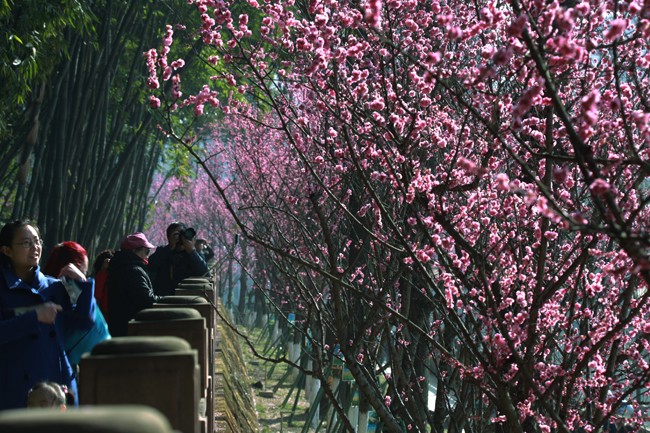 Wangjiang-Pavilion-Park-01 Wangjiang-Pavilion-Park-01