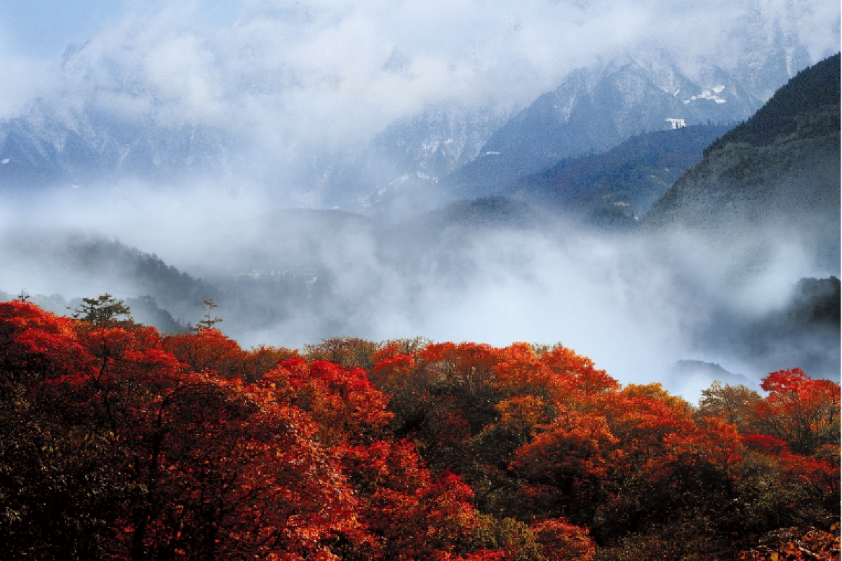 mount-emei-01 mount-emei-01