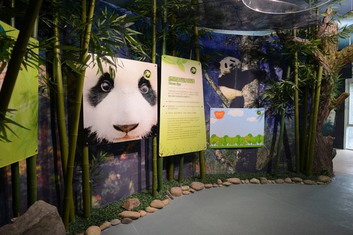 Dujiangyan-Panda-Base-01 Dujiangyan-Panda-Base-01