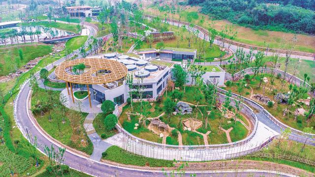 Mianyang-Panda-Base Mianyang-Panda-Base