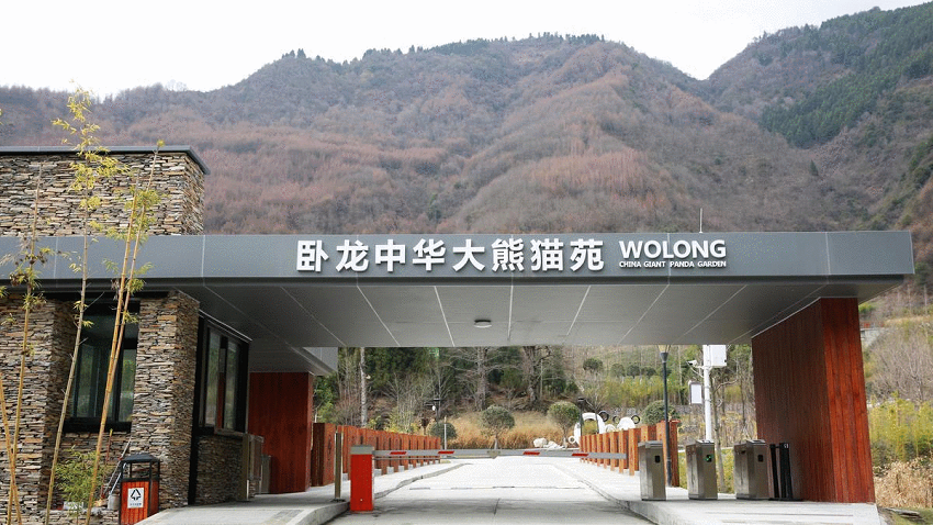 Shenshuping-Base-of-CCRCGP-01 Shenshuping-Base-of-CCRCGP-01