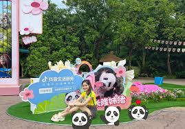 guangzhou-chimelong-safari-park-01 guangzhou-chimelong-safari-park-01