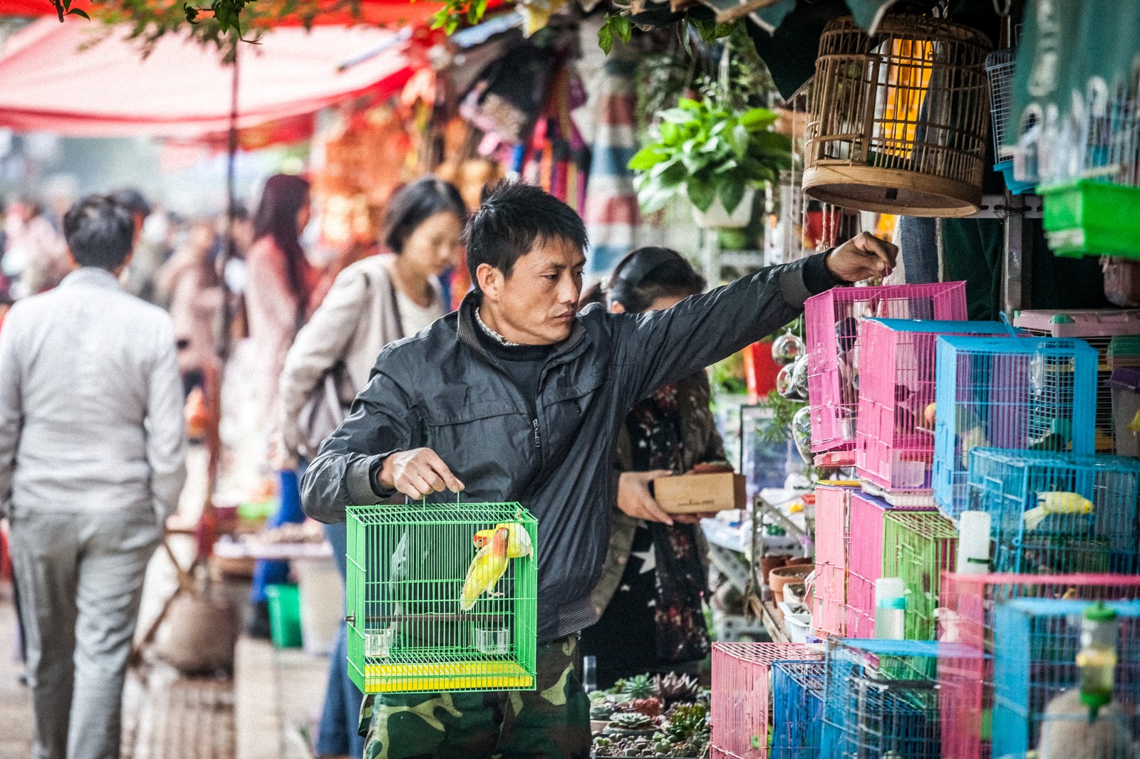 Kunming’s-Flower-Bird-Market-1 Kunming’s-Flower-Bird-Market-1